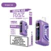 Grape Ice RAZ TN9000 Disposable